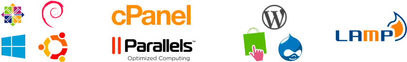WidHost VPS